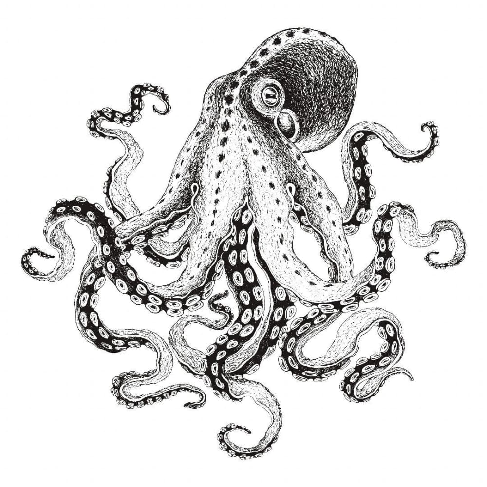 Octopus - Temporary Tattoo