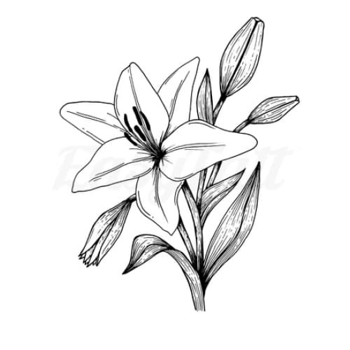 Lily - Temporary Tattoo