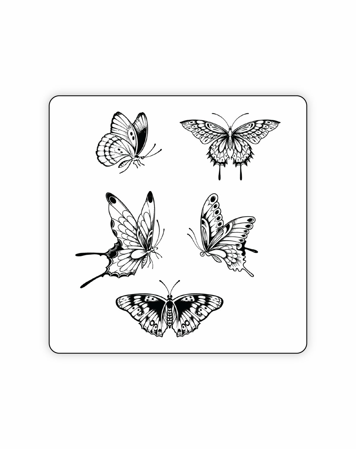 Aurelia - 5 Tattoos