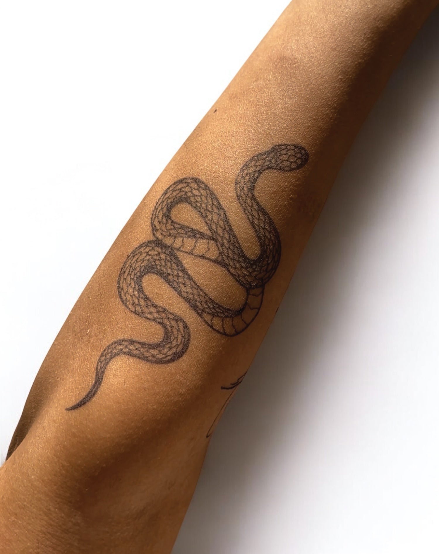 Elegant Snake - Semi-Permanent Tattoo