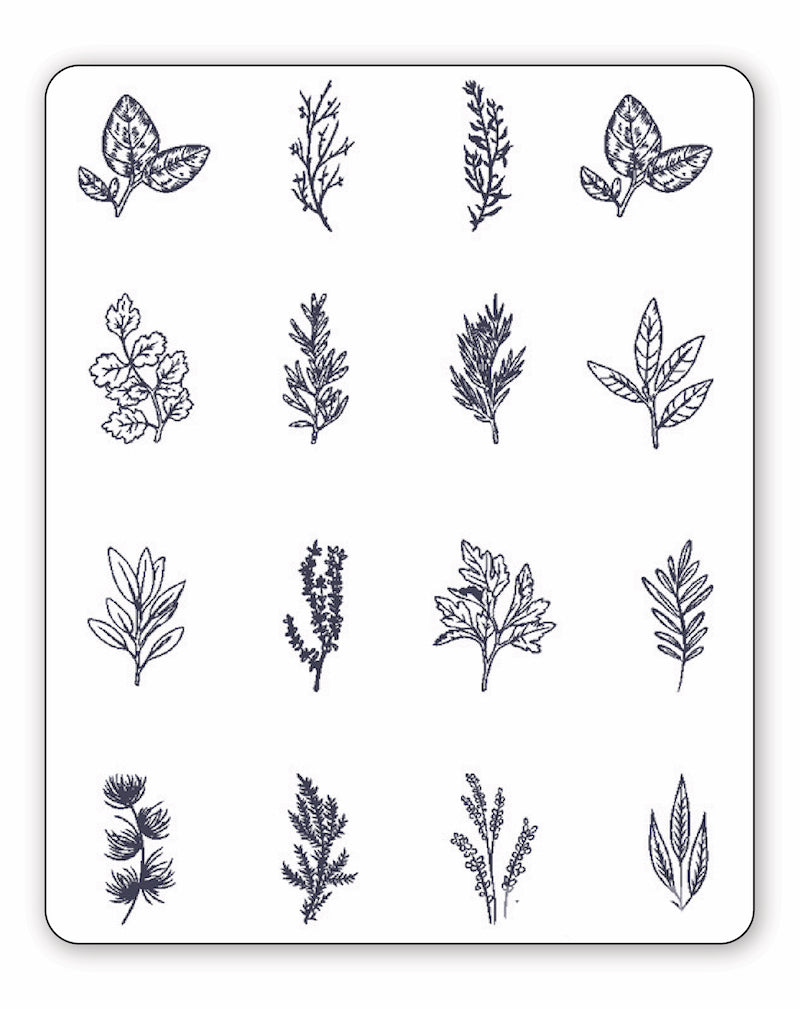 (16 Tattoos) Garden Variety - Semi-Permanent Tattoos