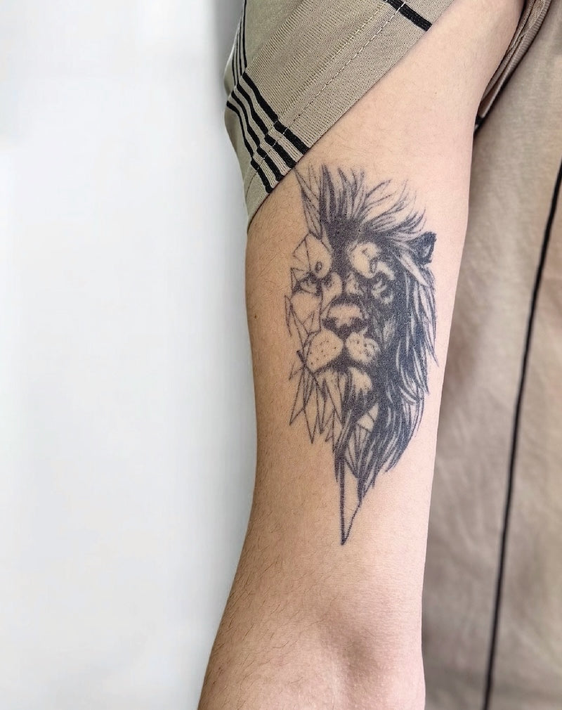 Geometric Lion