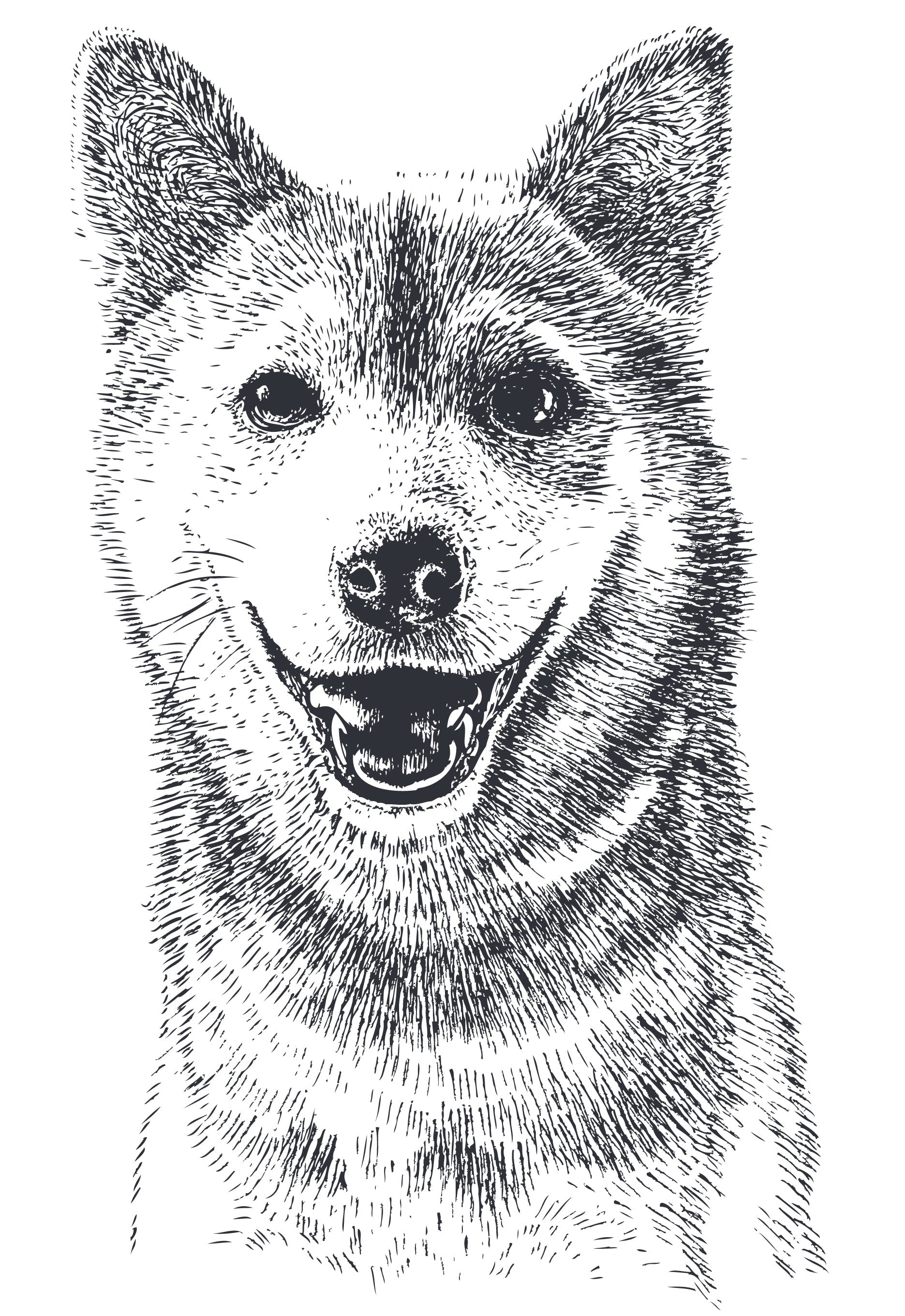 Kelpie - Temporary Tattoo