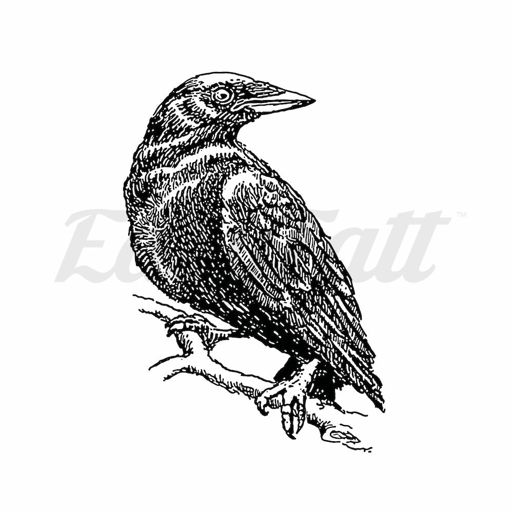 Perched Bird - Temporary Tattoo