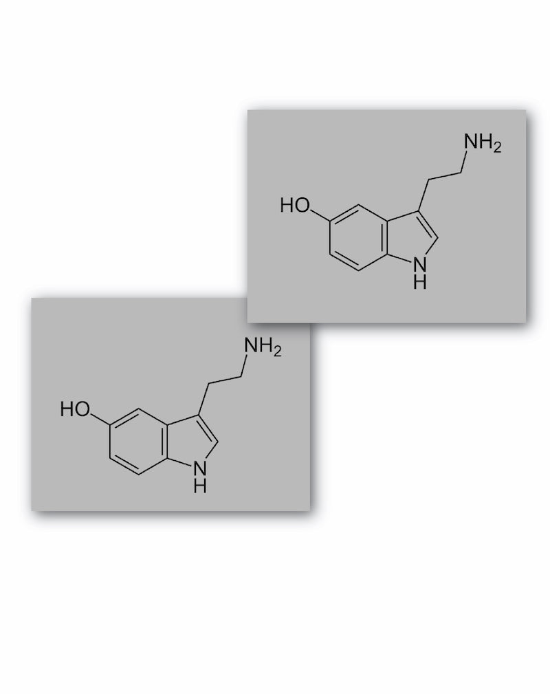 Serotonin - Semi-Permanent Tattoo