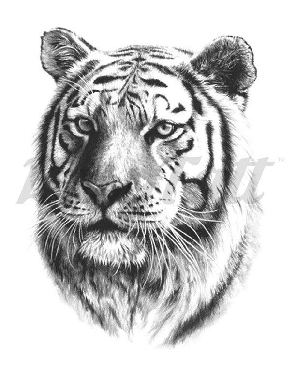 The Tiger