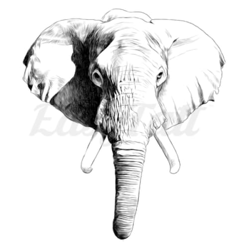 African Elephant Head - Temporary Tattoo