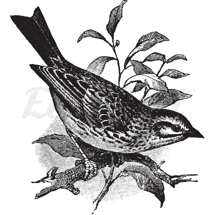 Bird on Branch - Temporary Tattoo