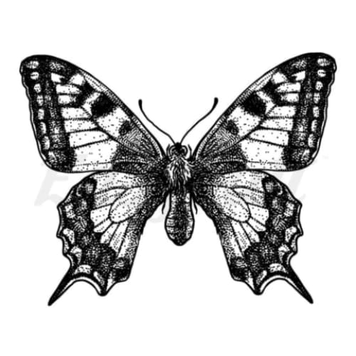 Blackwork Butterfly - Temporary Tattoo