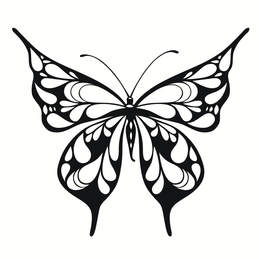 Butterfly - Free