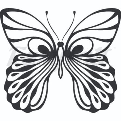 Butterfly - Temporary Tattoo
