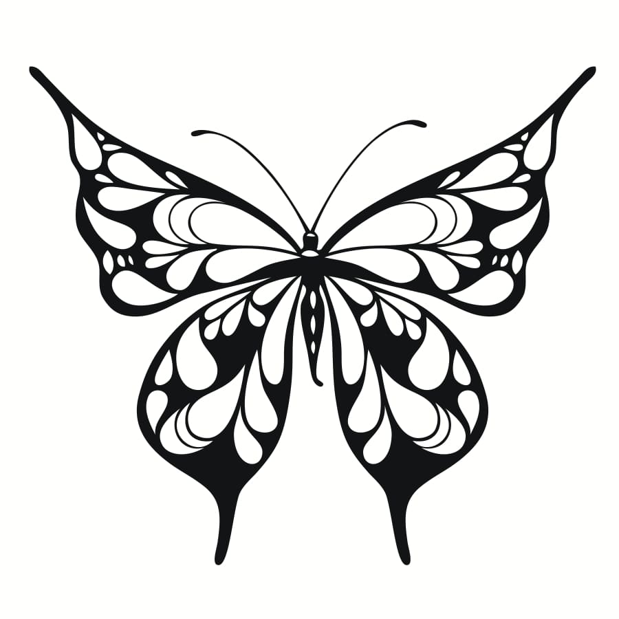 Butterfly - Temporary Tattoo