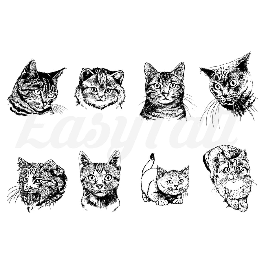 Cats - Temporary Tattoo
