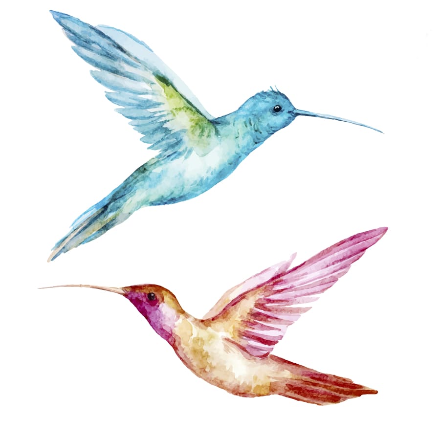 Colourful Birds - Temporary Tattoo