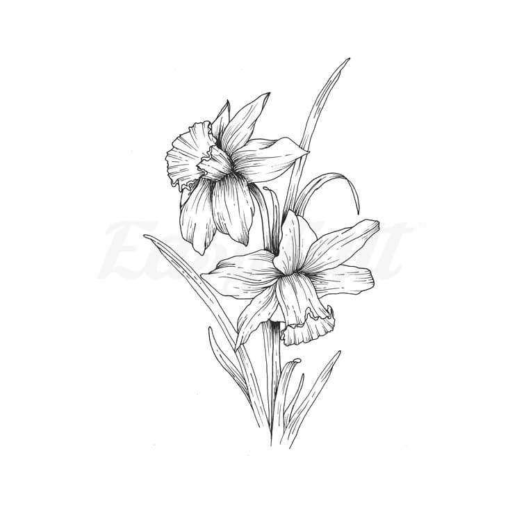 Daffodil - Temporary Tattoo