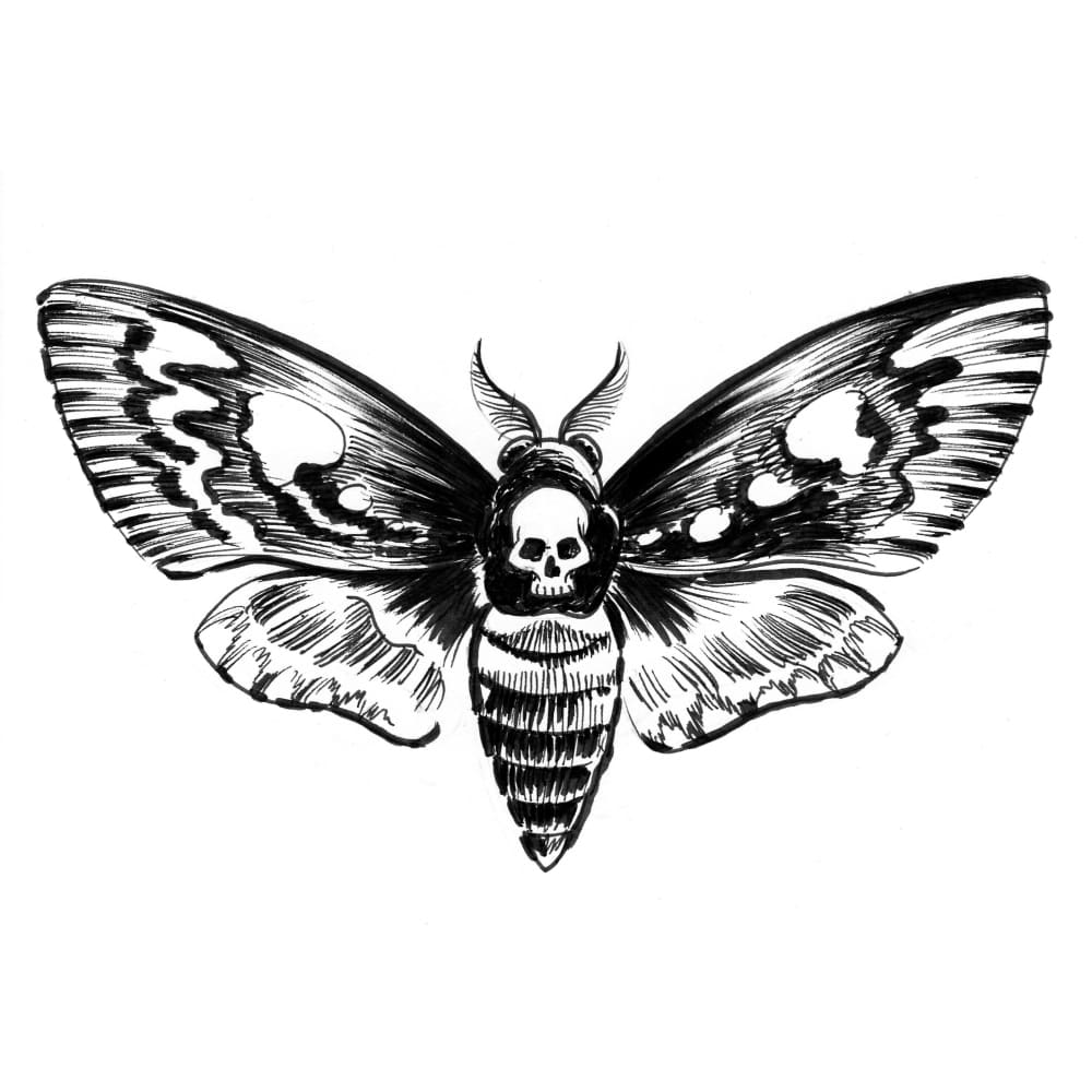 Death Face Moth - Temporary Tattoo