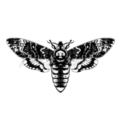 Death Face Moth - Temporary Tattoo