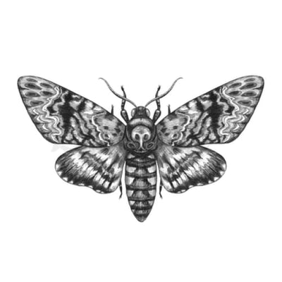 Death Moth - Temporary Tattoo