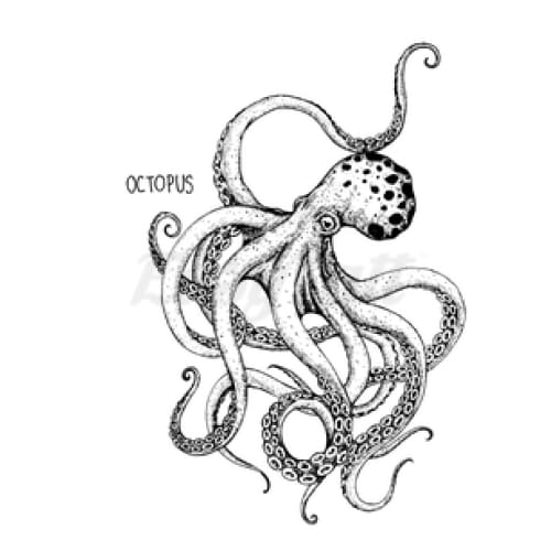 Deep Sea Octopus - Temporary Tattoo