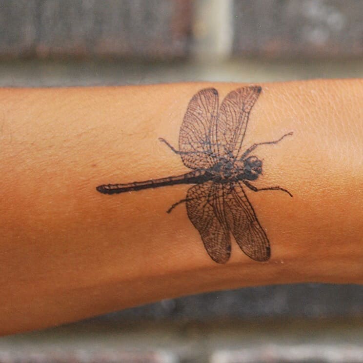 Dragon Fly - Temporary Tattoo