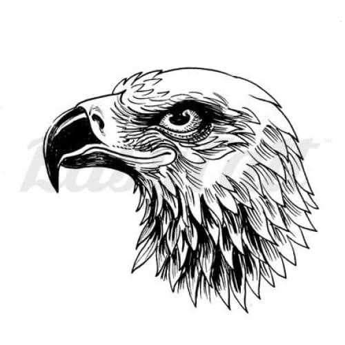 Eagle Head - Temporary Tattoo