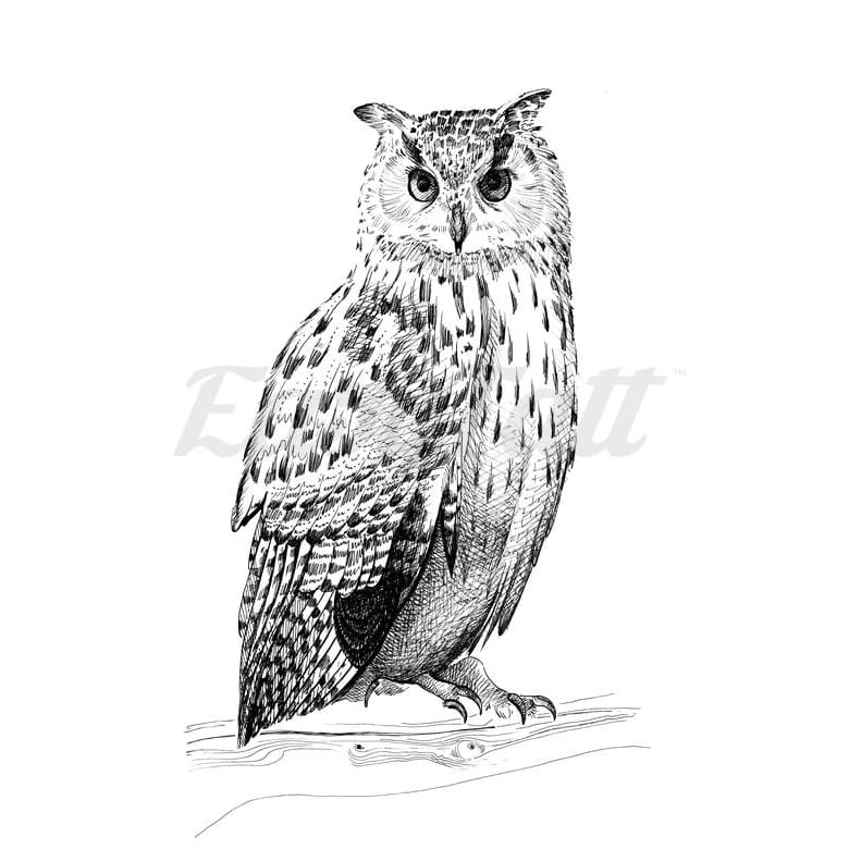 Eagle Owl - Temporary Tattoo