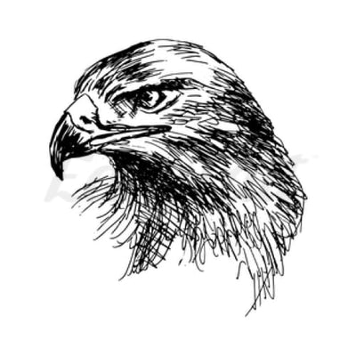 Eagle Sketch - Temporary Tattoo