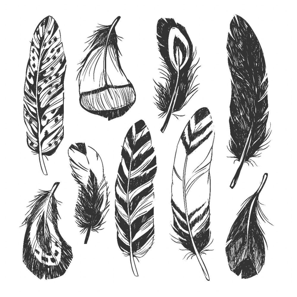 Feather Set - Temporary Tattoo