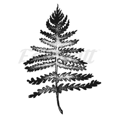 Fern Frond - Temporary Tattoo