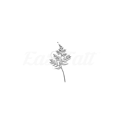 Fern - Temporary Tattoo
