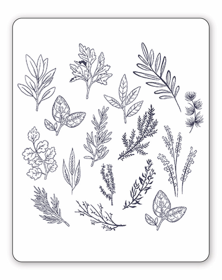 (16 Tattoos) Four Seasons - Semi-Permanent Tattoos