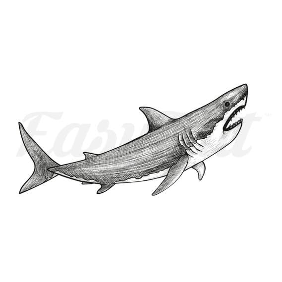 Great White Shark - Temporary Tattoo