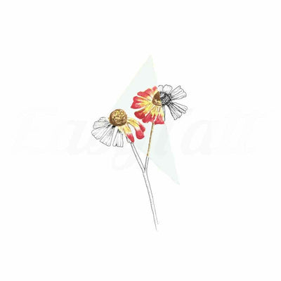 Helenium - By Jennifer Hayes - Temporary Tattoo