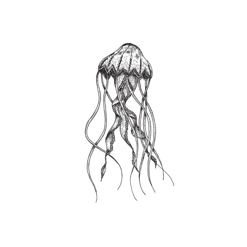 Jellyfish - By Kiryadi - Temporary Tattoo