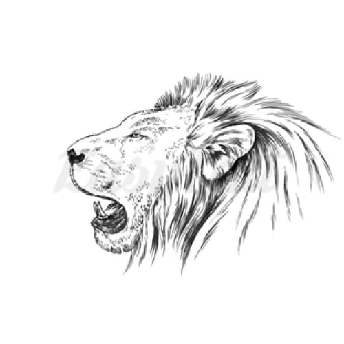 Lion Head - Temporary Tattoo