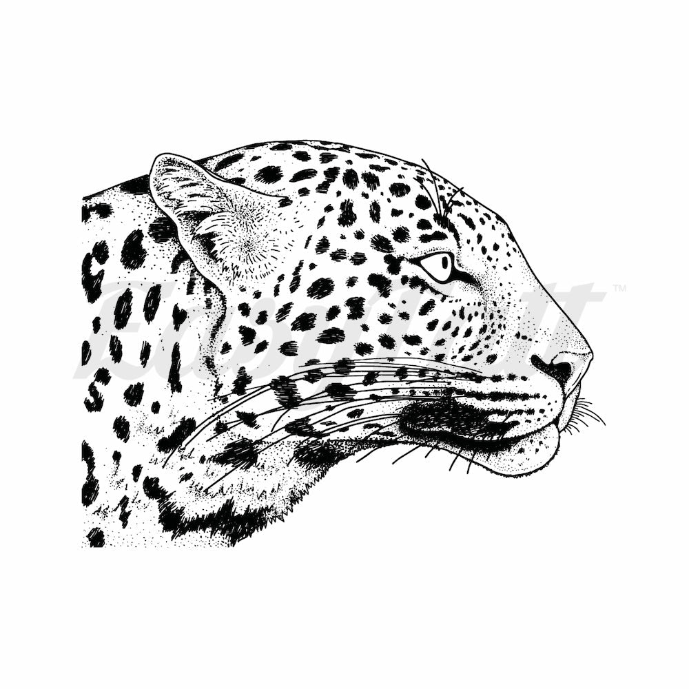 Staring  Cheetah - Temporary Tattoo