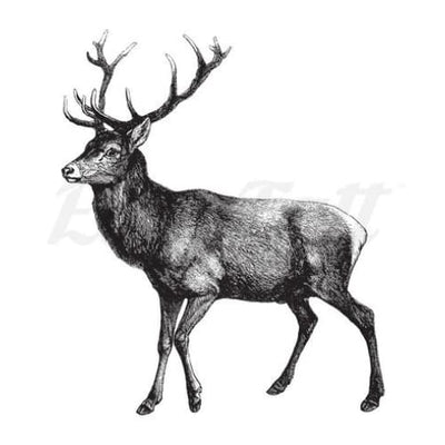 Majestic Deer - Temporary Tattoo