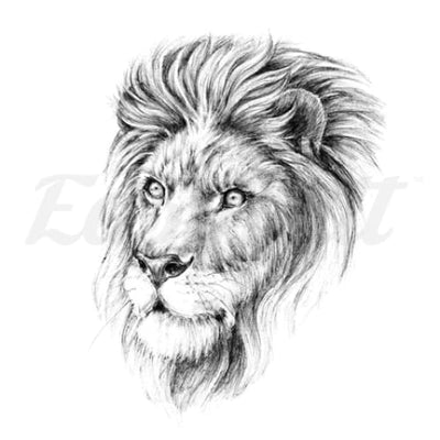 Beautiful Lion - Temporary Tattoo