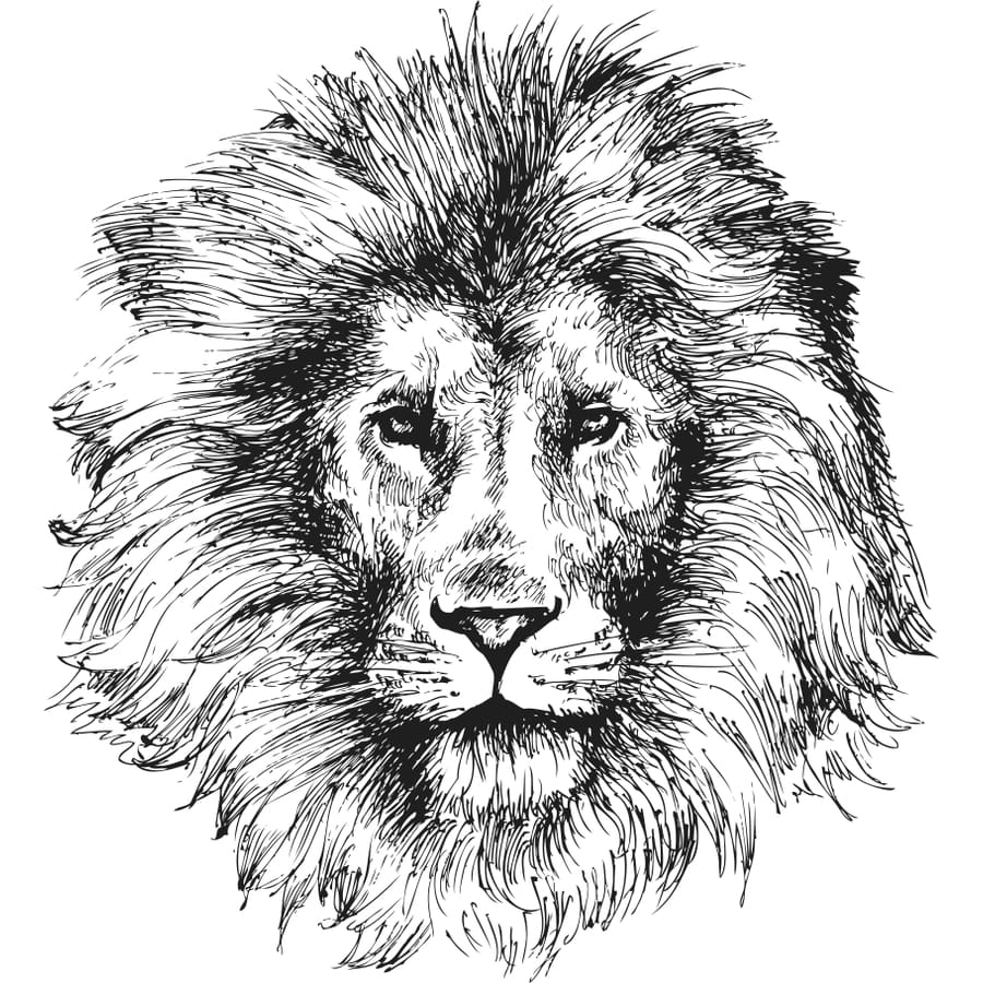Male Lion - Temporary Tattoo