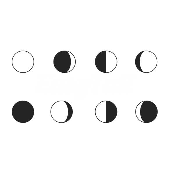 Moon Phases - Temporary Tattoo