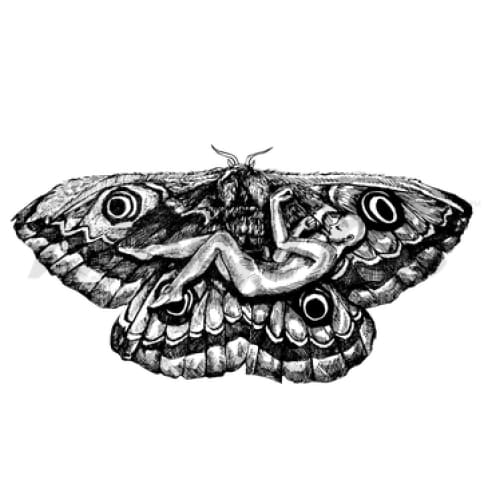 Moth Plane - Temporary Tattoo