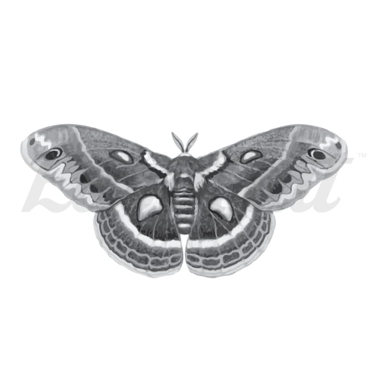 Moth - Temporary Tattoo
