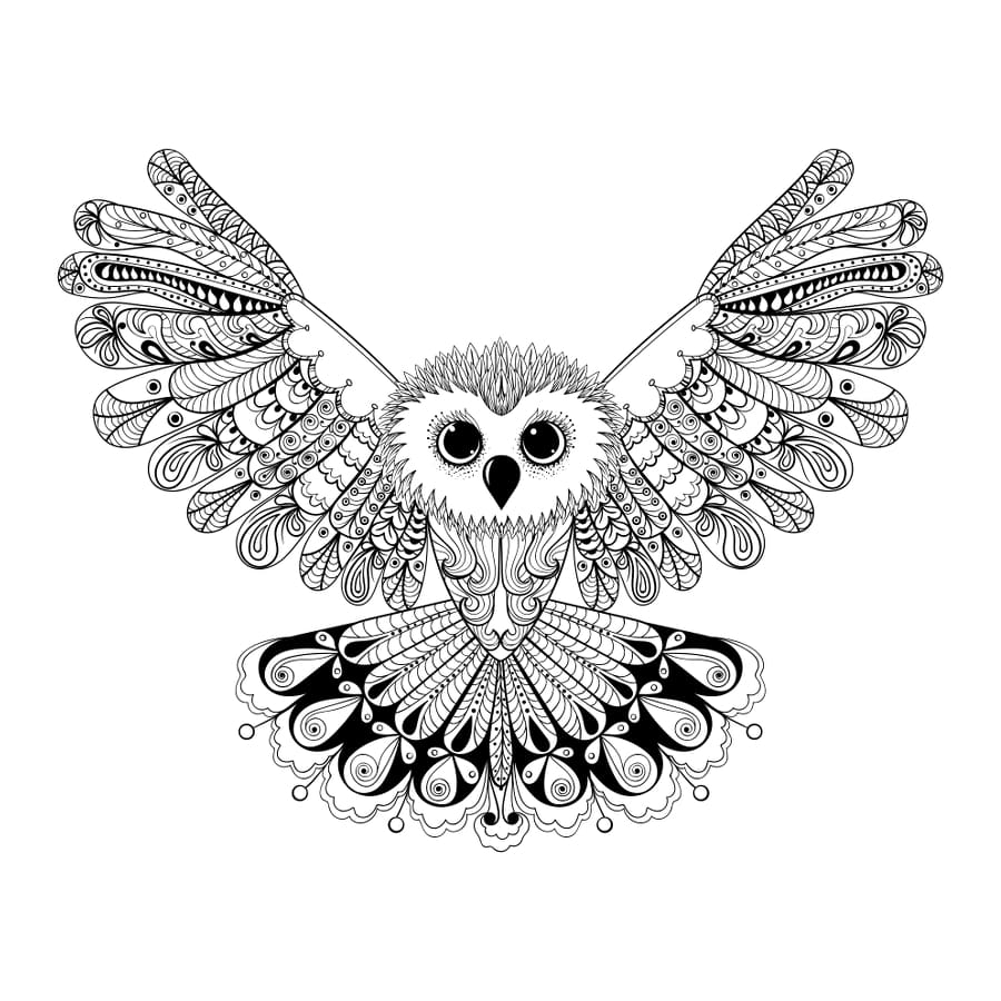 Owl - Temporary Tattoo