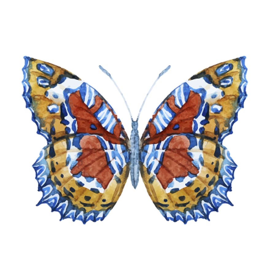 Pattern Butterfly - Free