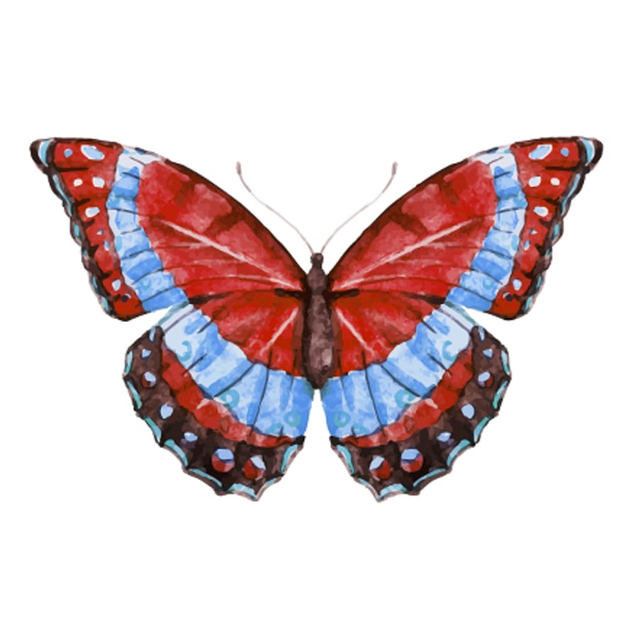 Red Butterfly - Temporary Tattoo