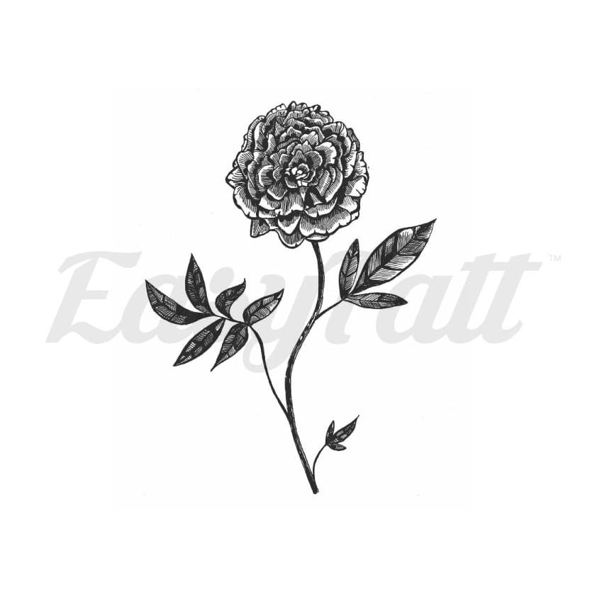 Rose - By Mhairi Stella - Temporary Tattoo