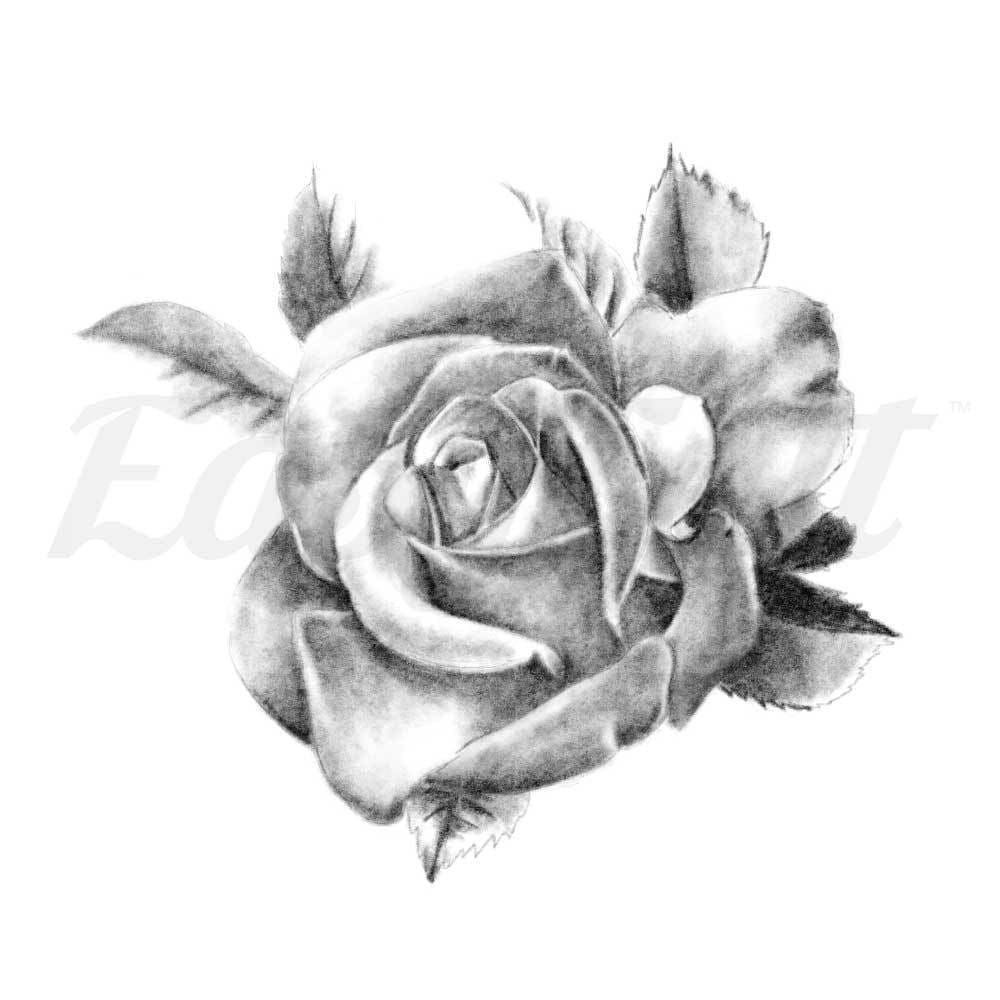 Shaded Rose - Temporary Tattoo