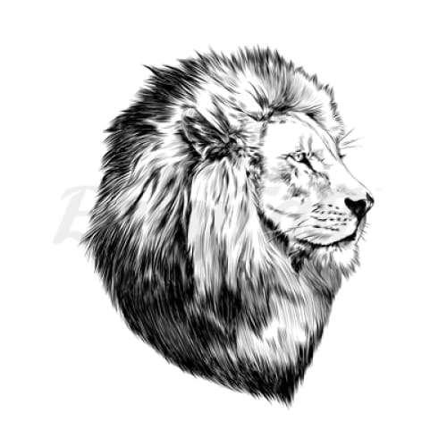 Side Facing Lion - Temporary Tattoo