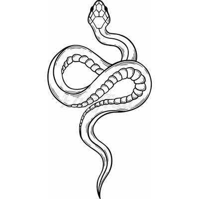 Snake - Temporary Tattoo