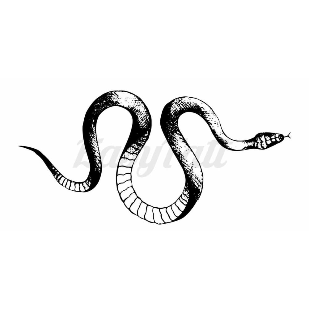 Snake - Temporary Tattoo